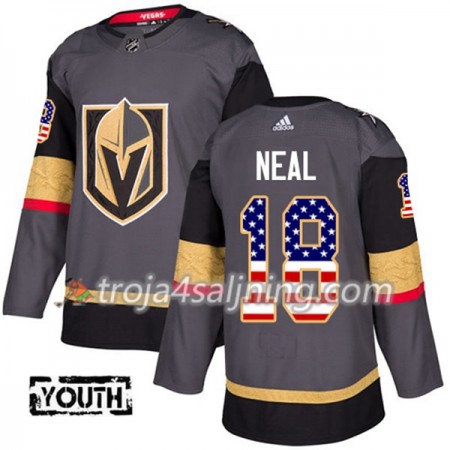 Vegas Golden Knights tröja James Neal 18 Adidas 2017-2018 Grau USA Flag Fashion Authentic - NHL Tröjor Barn